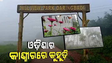 କୁହୁଡିମୟ ଓଡ଼ିଶାର କାଶ୍ମୀର ଦାରିଙ୍ଗବାଡି ! ମନ ମୋହୁଛି ମନୋରମ ପରିବେଶ…