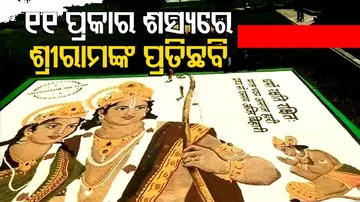 ୧୧ ପ୍ରକାର ଶସ୍ୟରେ କଳାକୃତି