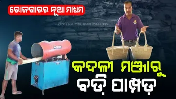 କଦଳୀ ଗଛରୁ ତିଆରି ହେଉଛି ବଡ଼ି, ପାମ୍ପଡ଼ ଓ ଘରକରଣା ଜିନିଷ, ଦେଖନ୍ତୁ ଏ ଭିଡ଼ିଓ...