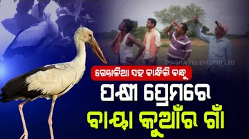 ନିଆରା କୁଆଁର ଗାଁ, ଏଠି ପକ୍ଷୀଙ୍କ ସହ ବନ୍ଧୁ ବାନ୍ଧିଛନ୍ତି ଗାଁ ଲୋକେ