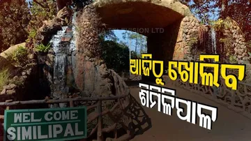 କଟକଣା ମାନି ଶିମିଳିପାଳ ବୁଲିବେ