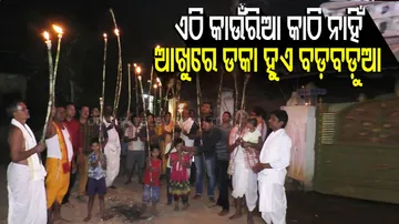 ଏଠି କାଉଁରୀଆ କାଠି ନାହିଁ, ଆଖୁରେ ଡକା ହୁଏ ବଡ଼ବଡ଼ୁଆ