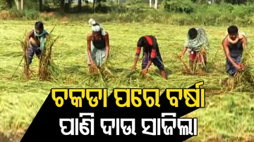 'ପ୍ରଥମେ ଚକଡା, ତାପରେ ହାତୀ ଏବଂ ଅଦିନିଆ ବର୍ଷା ସବୁ ସାରିଦେଲେ'