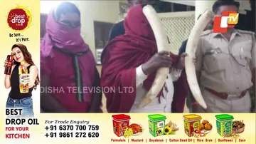 ବାଘ ନଖ, ହାତୀ ଦାନ୍ତ ଡିଲ୍ କରୁଥିଲେ, ଗିରଫ ହେଲେ