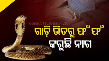 କାର୍ ଭିତରୁ ଶୁଭିଲା ଗର୍ଜନ.. ଦେଖିଲା ବେଳକୁ ବିରାଟ ନାଗ