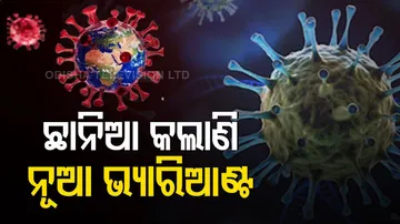 ଛାନିଆ କଲାଣି ନୂଆ ଭ୍ୟାରିଏଣ୍ଟ ଓମିକ୍ରନ