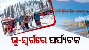 ମନ ମୋହୁଛି ଡାଲ ଲେକ-ମୋଗଲ ଗାର୍ଡେନ୍‌