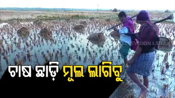 ଆଣ୍ଠୁଏ ପାଣିରେ ଭାସୁଛି ବର୍ଷକର ଆହାର