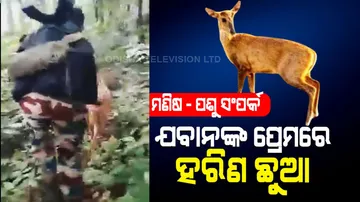 ପଶୁ ହେଲେ କଣ ହେଲା, ଭଲ ପାଇ ବସିଛି ଯବାନଙ୍କୁ