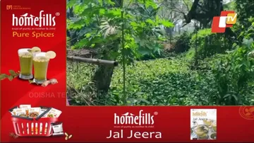 ପିହୁ ନିଖୋଜରେ କାହାର ହାତ ଅଛି ?