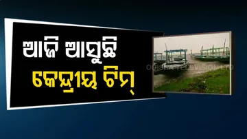 ବାତ୍ୟା ଜୱାଦ କେତେ କ୍ଷତି କରିଛି?