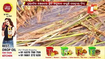 ଗ୍ରାଉଣ୍ଡ ଜିରୋରେ କେନ୍ଦ୍ରୀୟ ଟିମ୍