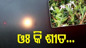 ସୁବର୍ଣ୍ଣପୁର ଜିଲ୍ଲାରେ ପହଞ୍ଚିଛି ହାଡଭଙ୍ଗା ଶୀତ