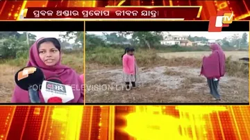 ତୁଷାର ମାଡରେ ଦାରିଙ୍ଗିବାଡି ଥରୁଛି