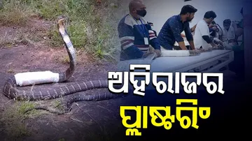 ଯୋଡ଼ି ହେବ ଅହିରାଜର ଭାଙ୍ଗି ଯାଇଥିବା ହାଡ଼