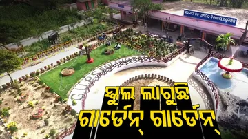 ପାର୍କର ଭ୍ରମ ସୃଷ୍ଟି କରୁଛି ସ୍କୁଲ, ବାଟୋଇ ବି ସାମ୍ନାରେ ରହି ଉଠାଉଛନ୍ତି ସେଲଫି…ଦେଖନ୍ତୁ ଏହି ଭିଡ଼ିଓ