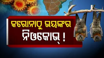 ଓମିକ୍ରନ ପରେ ଚର୍ଚ୍ଚାରେ ନିଓକୋଭ୍ !