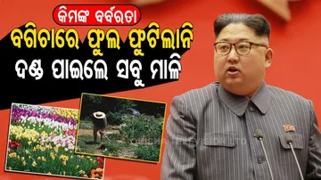 ବାପାଙ୍କ ଶ୍ରାଦ୍ଧ ଦିବସରେ ବଗିଚାରେ ଫୁଲ ଫୁଟିଲାନି, ସବୁ ମାଳିଙ୍କୁ ଦେଲେ କଠୋର ଦଣ୍ଡ