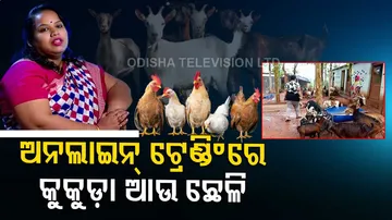 ଅନଲାଇନ୍‌ ଟ୍ରେଣ୍ଡିଂରେ କୁକୁଡ଼ା ଛେଳି...ସୋନିଙ୍କ ଦୃଢ ଇଚ୍ଛା ପାଇଁ ସଫଳ ହେଉଛି ବେପାର...