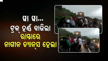 ବାଃ ବାଃ...ରାସ୍ତାରେ ହର୍ଣ୍ଣ ବାଜିଲା, ଏମାନେ ନାଗିନ ନାଚିଲେ...