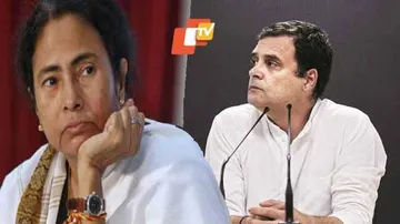 ରାହୁଲଙ୍କ ଇସ୍ତଫାକୁ CWCର ଅଗ୍ରାହ୍ୟ, ଏଣେ ମୁଖ୍ୟମନ୍ତ୍ରୀ ପଦ ଛାଡ଼ିବାକୁ ମମତାଙ୍କ ପ୍ରସ୍ତାବ