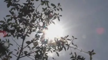 ତତଲା କଢ଼େଇରେ ଫୁଟୁଛି ପଶ୍ଚିମ ଓଡ଼ିଶା