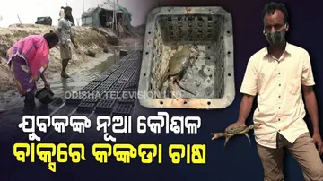 ବାକ୍ସରେ କଙ୍କଡା ଚାଷ କରୁଛନ୍ତି ଯୁବକ : ବର୍ଷକୁ ରୋଜଗାର ହେଉଛି ୫ ଲକ୍ଷ ଟଙ୍କା