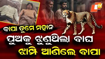 Special Story: Father Fights Leopard to Save Son in Gujarat, Animal Killed