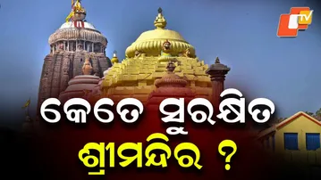 Security Concerns Rise at Shree Mandir After Viral Sanctum Photos