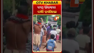 ବସ୍ ଭିତରେ ପଶି ହାଣିଲେ... #LaxmiBusAttack #PuriIncident #PassengerSafety #BreakingNews #OTVShorts #OTV