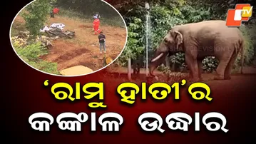 Ramu Elephant’s Skeleton Recovered After 8-Hour Operation in Bharatpur Forest