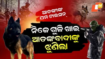 Special Story: Shot by Terrorists, Brave Dog Tyson Still Tracked Down 3 Militants