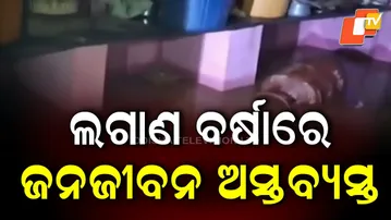 Heavy Rain Floods Homes in Koraput, Nuapada ; Families Relocated to Safe Shelters