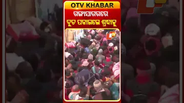 ଗଙ୍ଗାସାଗରରେ ବୁଡ଼ ପକାଇଲେ ହଜାର ହଜାର ଶ୍ରଦ୍ଧାଳୁ #OTVshorts #GangaSagar #HolyDeep #Westbangal