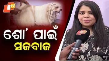 3-Day All-Breed Championship Dog Show Begins at OUAT in Bhubaneswar