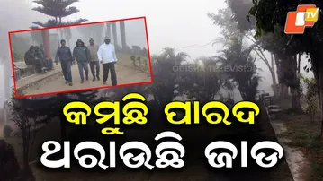 Cold Wave to Intensify in Odisha from December 25, Mercury Likely to Dip Further