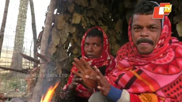 Debut of Snowfall In Odisha In 2025: Mercury Level Goes Down In Phulbani | Watch Full Video