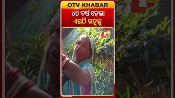 ୪୦ ବର୍ଷ ହେଲା ସରକାର ଜମି ଜବରଦଖଲ କରି ରହିଛନ୍ତି ବାଲାଂଦେଶୀ  #OTVshorts #Jagatsinghpur