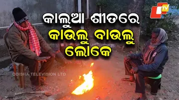 Biting Cold Wave and Fog Grip Odisha — Lives Disrupted by Chilly Winds