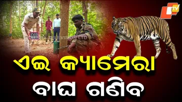 Tiger Counting Begins in Similipal Tiger Reserve with Cameras Across 2,750 sq km
