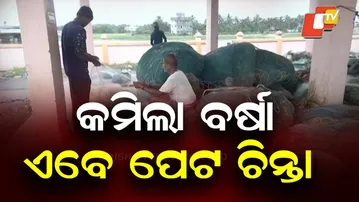 All Fishing Boats Anchored in Gopalpur as per Govt Order: Officer Raj Kishore Das