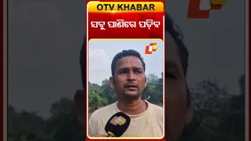 ବାତ୍ୟା ଯୋଗୁଁ ସବୁ ନଷ୍ଟ ହେବା #OTVShorts #Cyclone #Baleswar #farmer