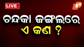 🔴LIVE | ଚନ୍ଦକା ଜଙ୍ଗଲରେ ଏ କଣ ? Ramu the Elephant’s Skeleton to Be Exhumed Today | Odia News | OTV