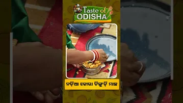 Taste Of Odisha : Shorts | ନଡ଼ିଆ କୋରା ଚିଙ୍ଗୁଡି ମାଛ ରେସିପି  #otv #otvshorts #tasteofodisha #odiafood
