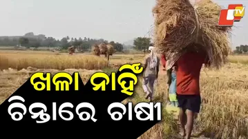 Farmers in Ganjam Worry Over Lack of Storage as Paddy Harvest Begins