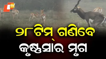 Blackbuck Census Begins in Asika Forest Range of Ganjam; Drones Deployed for Annual Count