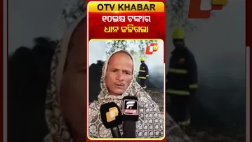 ୧୦ଲକ୍ଷ ଟଙ୍କାର ଧାନ ଜଳିଗଲା...#CropsLoss #FireMishap #Ganjam #Odisha #OTVShorts