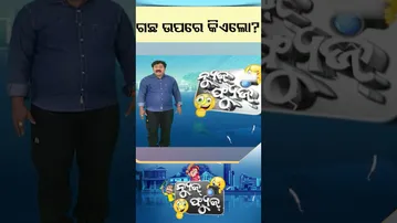 News Fuse | Reel | ଗଛ ଉପରେ କିଏ ଲୋ ? #otv #otvshorts