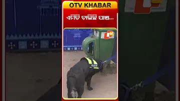 ବାରବାଟୀ 'ବିଗ୍ ଫାଇଟ୍': ଏମିତି ଚାଲିଛି ଯାଞ୍ଚ… | #INDvsSA #cricket #OTV #BarabatiStadium