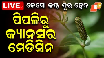 🔴LIVE |  ପିପଳିରୁ କ୍ୟାନସର ମେଡିସିନ  |  New Cancer Medicine Launched in Odisha| OTV